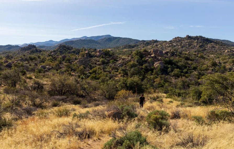 Oracle State Park, Arizona, USA